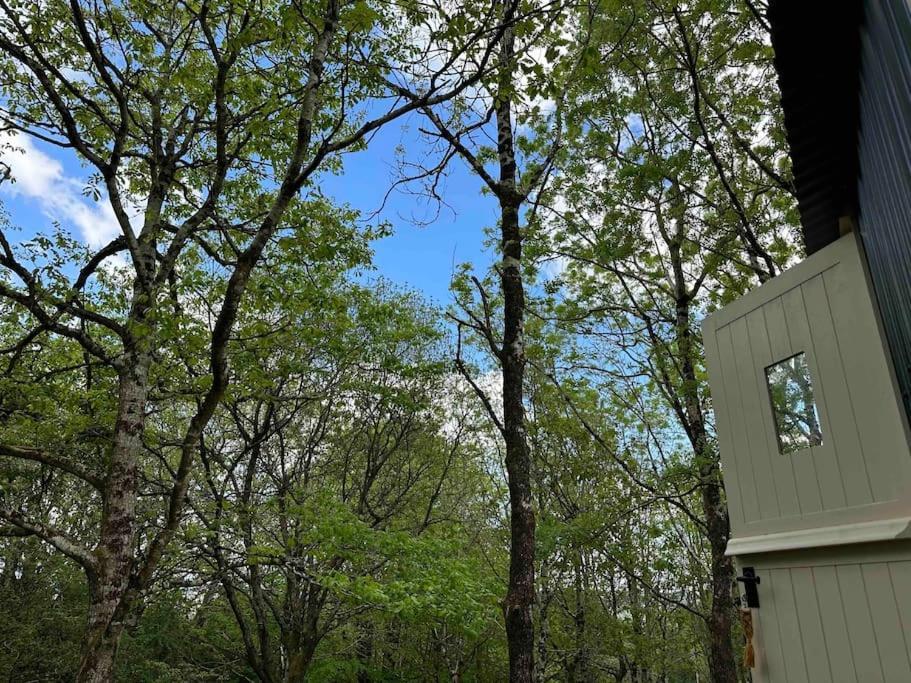Cornwall Woodland Shepherd'S Hut - Dennis Hut Bodmin Exterior photo