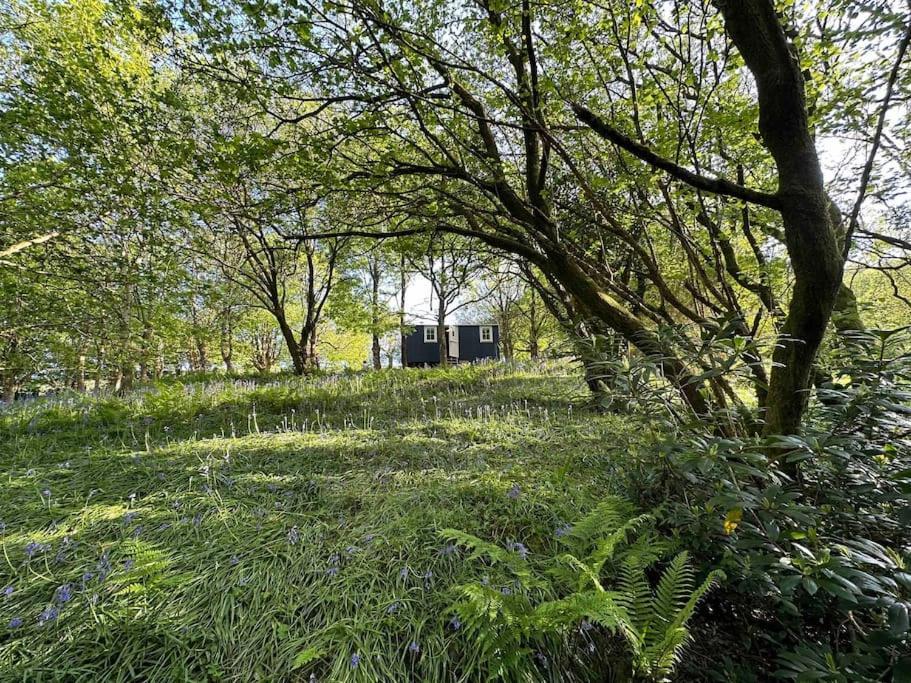 Cornwall Woodland Shepherd'S Hut - Dennis Hut Bodmin Exterior photo